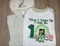 Pastel Sage Stripe Long Raglan Sleeve Pyjama Set