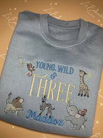 Birthday Jumpers ANY DESIGN